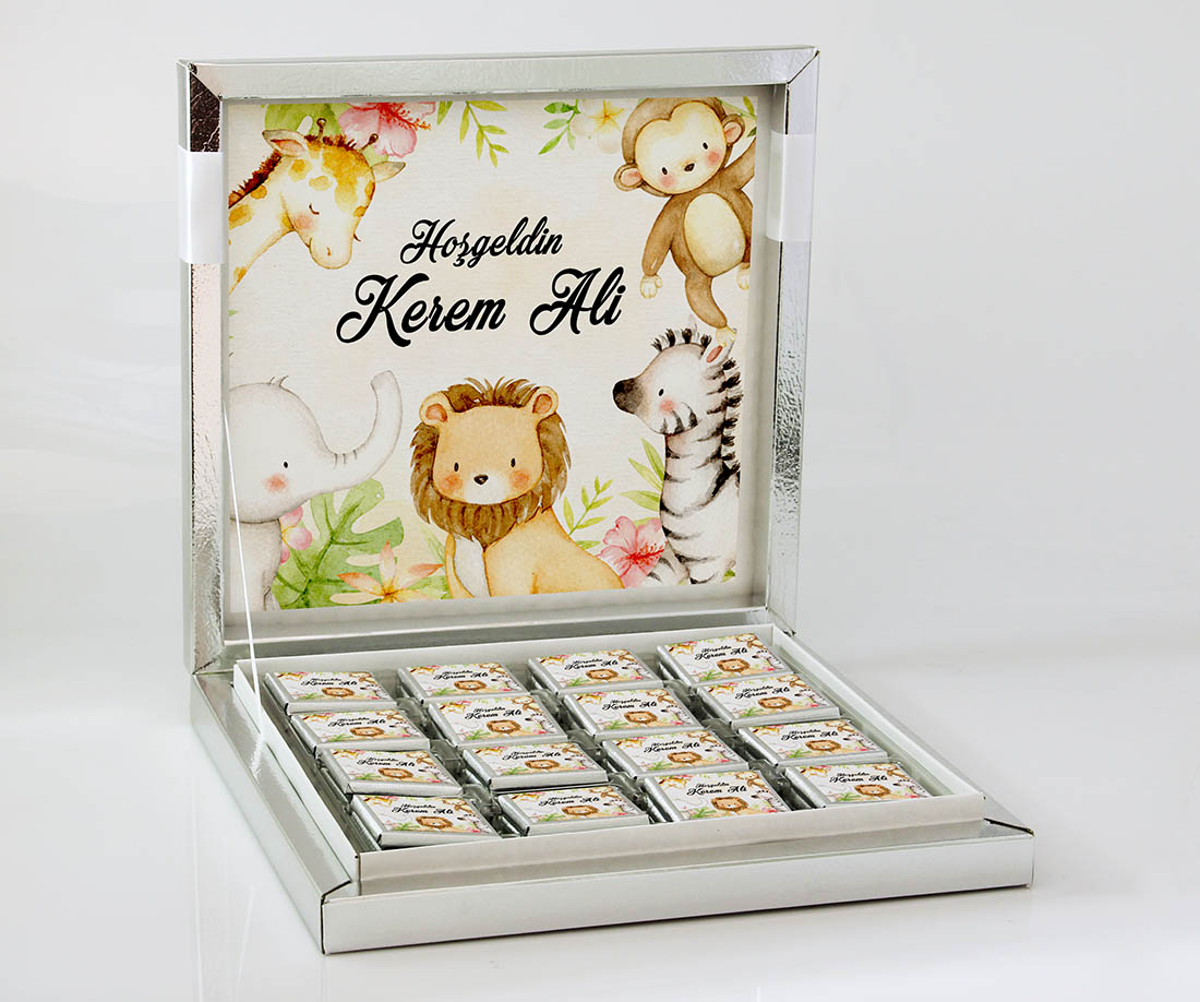 Erkek Bebek Hediye Seti - Çikolata, Magnet, Kapı Süsü - Safari