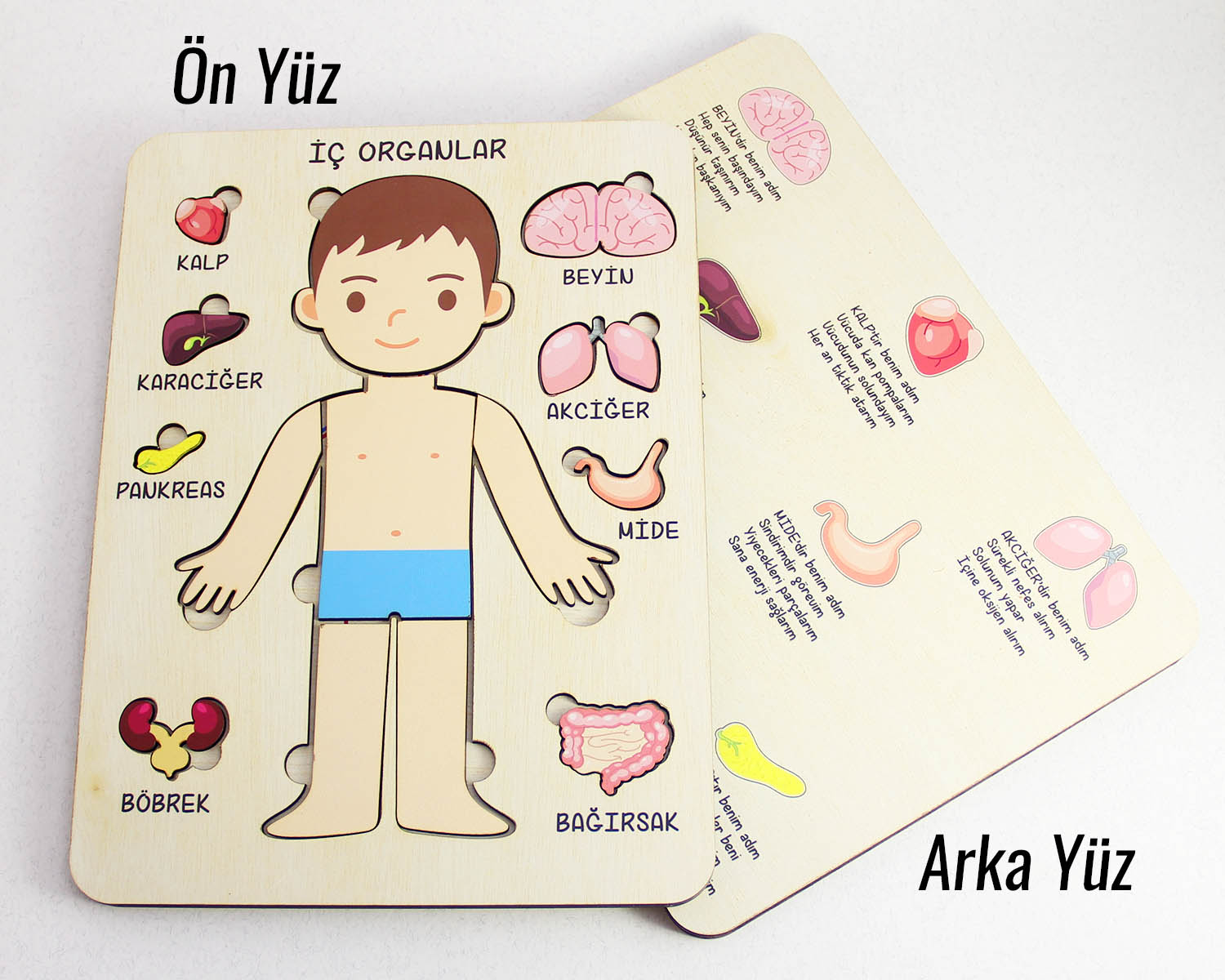 Ahşap Montessori Erkek Çocuk Vücut ve Organlar Puzzle, Ahşap Eğitici Puzzle Oyuncak
