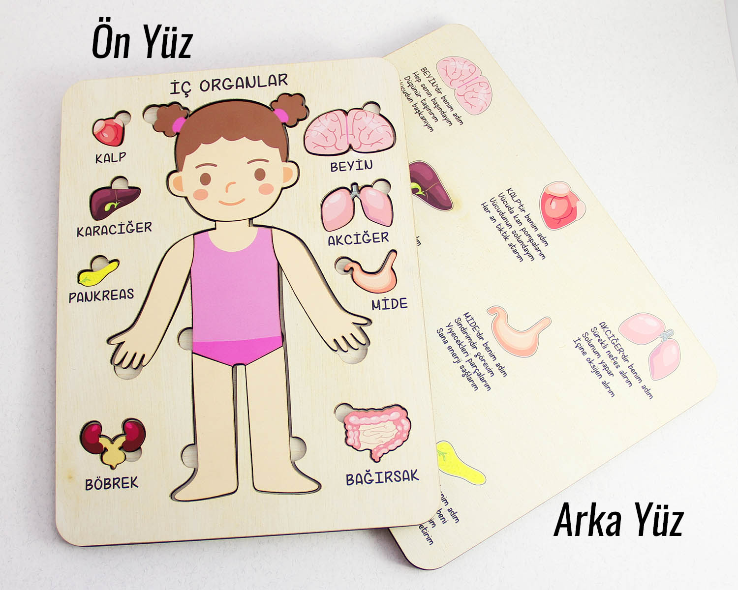 Ahşap Montessori Kız Çocuk Vücut ve Organlar Puzzle, Ahşap Eğitici Puzzle Oyuncak
